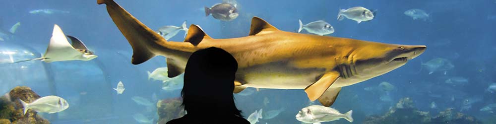 Acquario di Barcellona