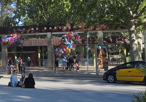 zoo de Barcellona